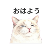 838329353