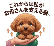 838329577
