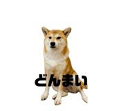 838329709