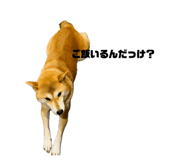 838329710