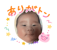 838330116