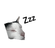 838330234