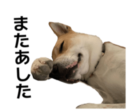 838330302