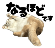 838330452