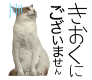 838330463