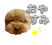 838330995