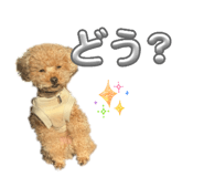 838331009