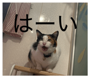 838331149