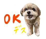 838331997