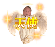 838332042