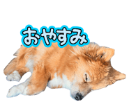 838333490