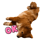 838333499