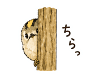 838333692