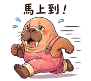 838336777