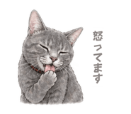 838340998