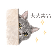 838341006