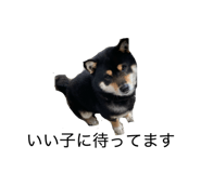 838341968