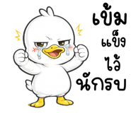 838342323