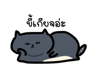 838342981