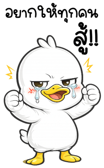 838343331