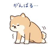 838343466