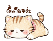 838343772