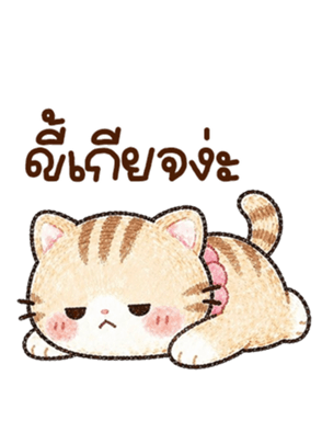 เหมียวโบโบ้ บิ้กๆ <3 รูปที่ 36