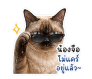 838344810