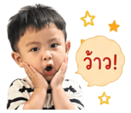 838345217