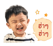 838345229