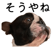 838346045
