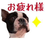838346054