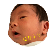 838346083