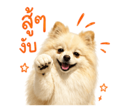 838349250