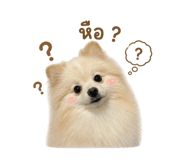 838349256