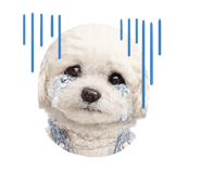 838350051