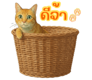 838350817