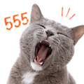 838351895
