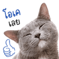 838351899