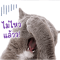 838351904