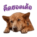 838353027