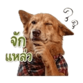 838353034
