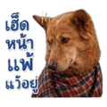 838353035