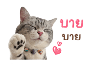 838353621