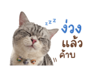 838353632