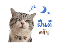 838353637