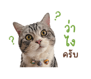 838353640