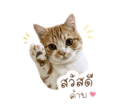 838354881