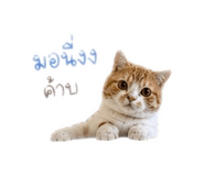 838354889