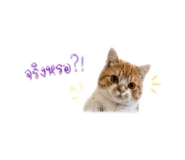 838354894